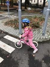 Fotografie
