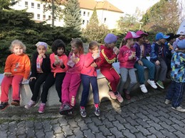 Fotografie