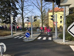 Fotografie