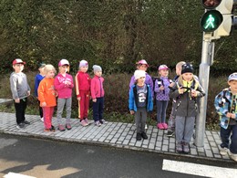 Fotografie