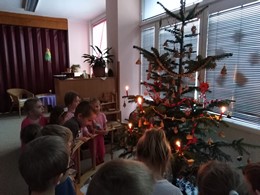 Fotografie