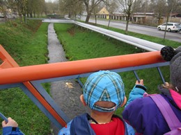 Fotografie