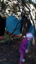 Fotografie