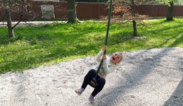 Fotografie