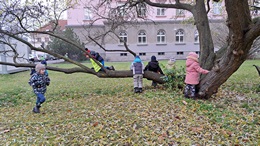 Fotografie