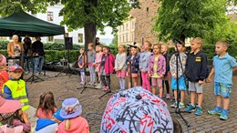 Fotografie