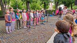Fotografie