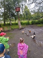 Fotografie