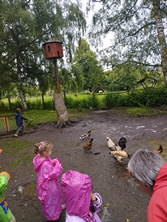 Fotografie