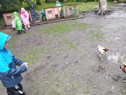 Fotografie