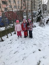 Fotografie