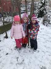 Fotografie