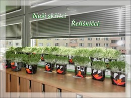 Zobrazit » Naši skřítci Řeřišníčci