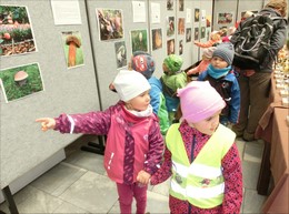 Fotografie