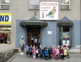 Zobrazit » Na výstavě exotického ptactva