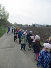 Fotografie