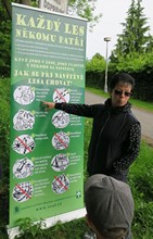 Fotografie