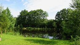 Fotografie