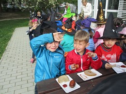 Fotografie