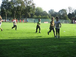 Fotografie