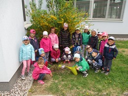 Fotografie