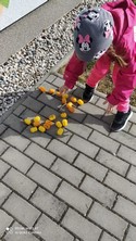 Zobrazit » Velikonoční hra ve Sluníčku