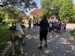 Fotografie