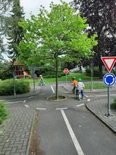 Fotografie