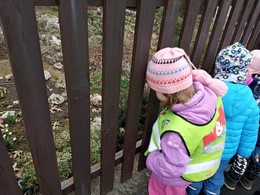 Zobrazit » Motýlci - Jaro