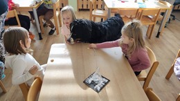 Fotografie