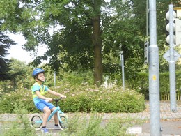 Fotografie