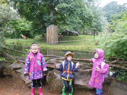Zobrazit » ZOO