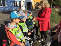 Fotografie