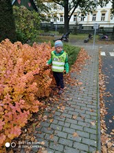 Fotografie