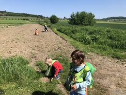 Fotografie