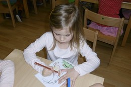 Fotografie