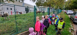 Zobrazit » Zajíčkové na vycházkách
