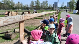 Zobrazit » Návštěva u zvířátek