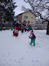 Zobrazit » Ježečci na sněhu