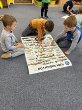 Fotografie