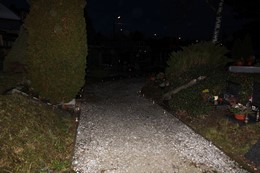Fotografie