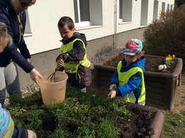 Zobrazit » Malí zahradníci