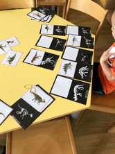 Fotografie